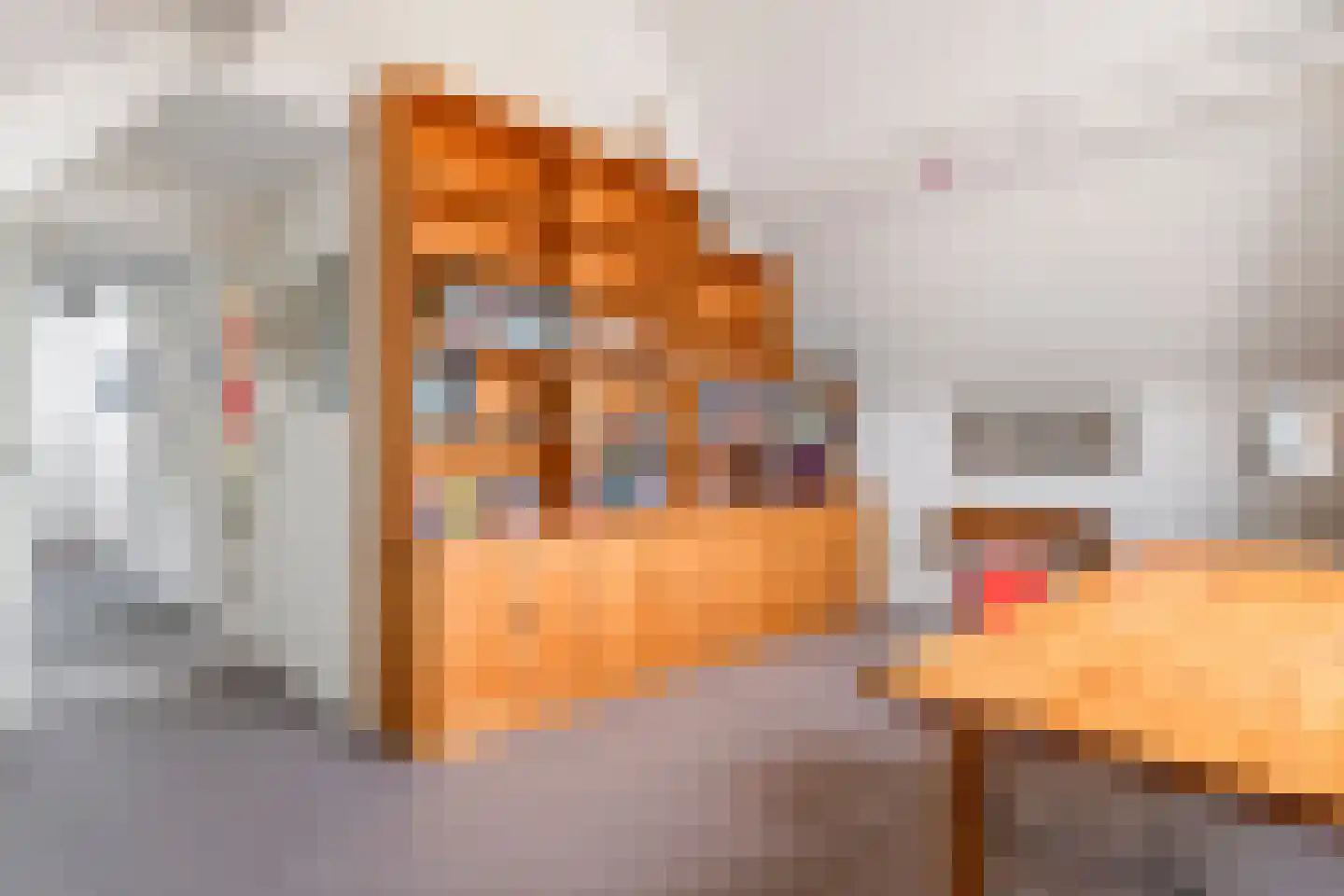 Graaf Florisstraat 32 Everdingen thumbnail 42