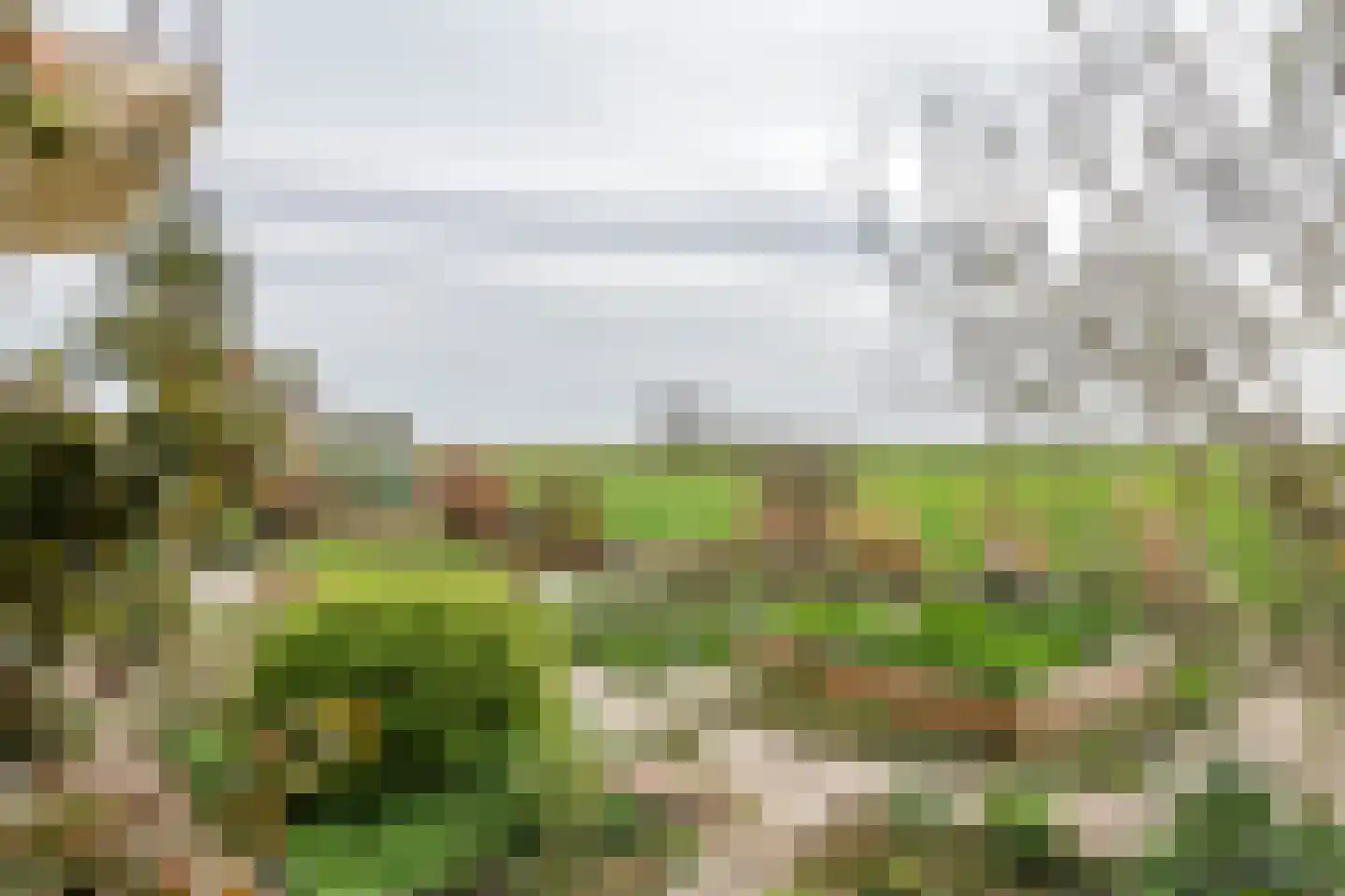 Graaf Florisstraat 32 Everdingen thumbnail 64