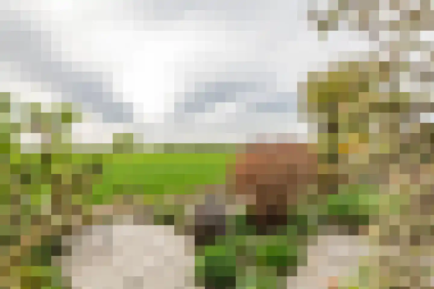 Graaf Florisstraat 32 Everdingen thumbnail 65