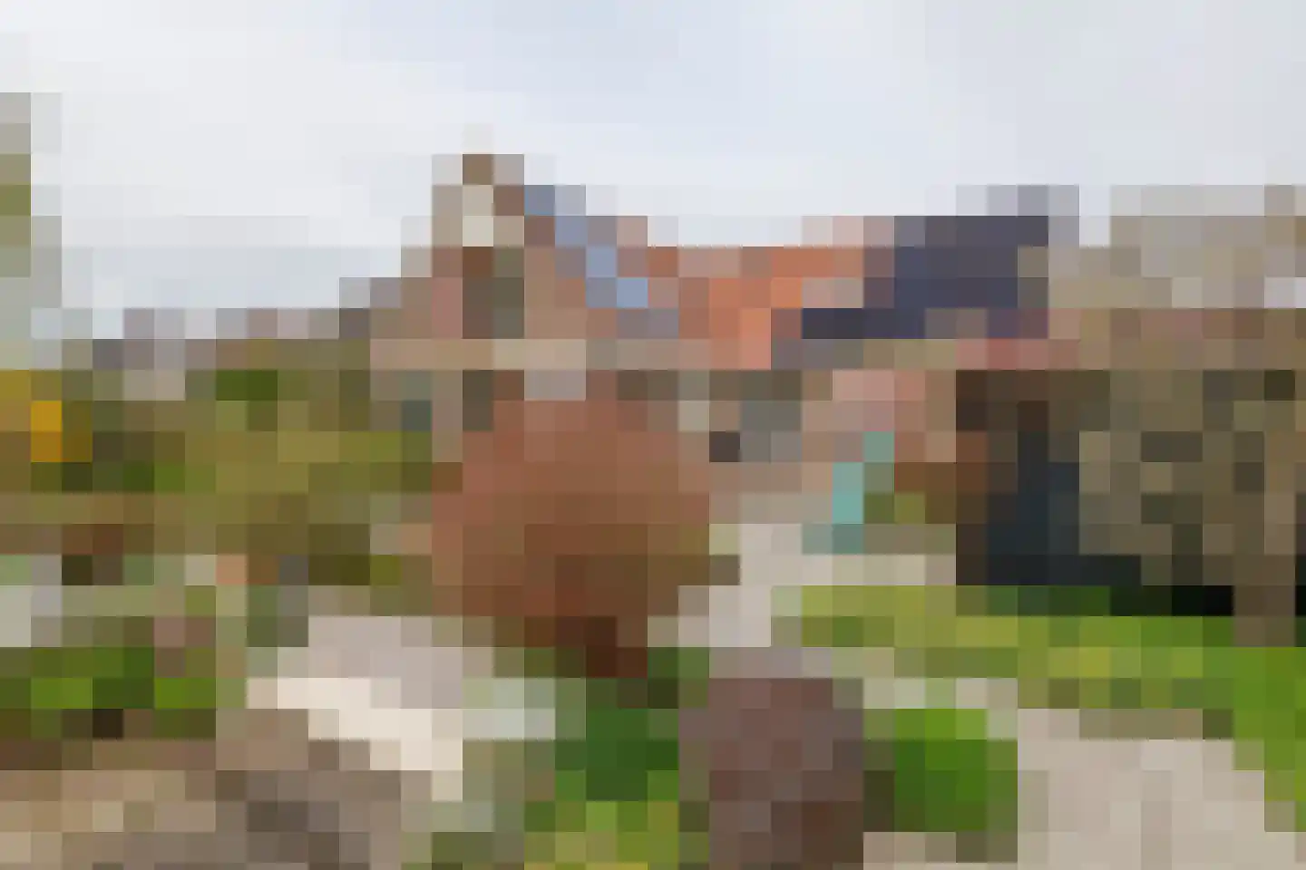 Graaf Florisstraat 32 Everdingen thumbnail 66