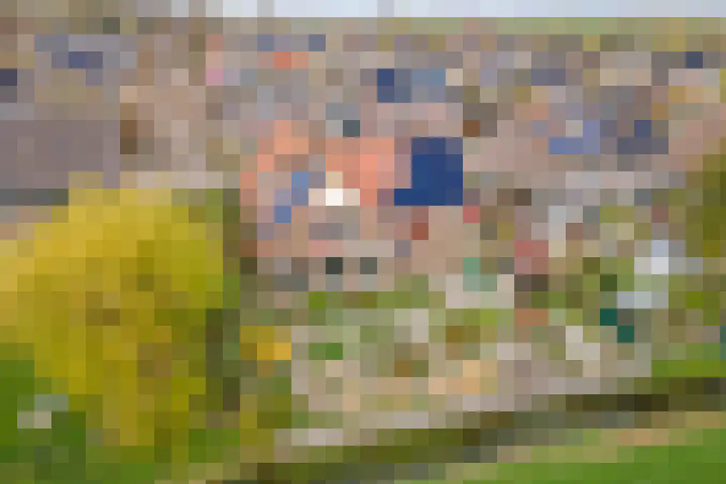 Graaf Florisstraat 32 Everdingen thumbnail 69