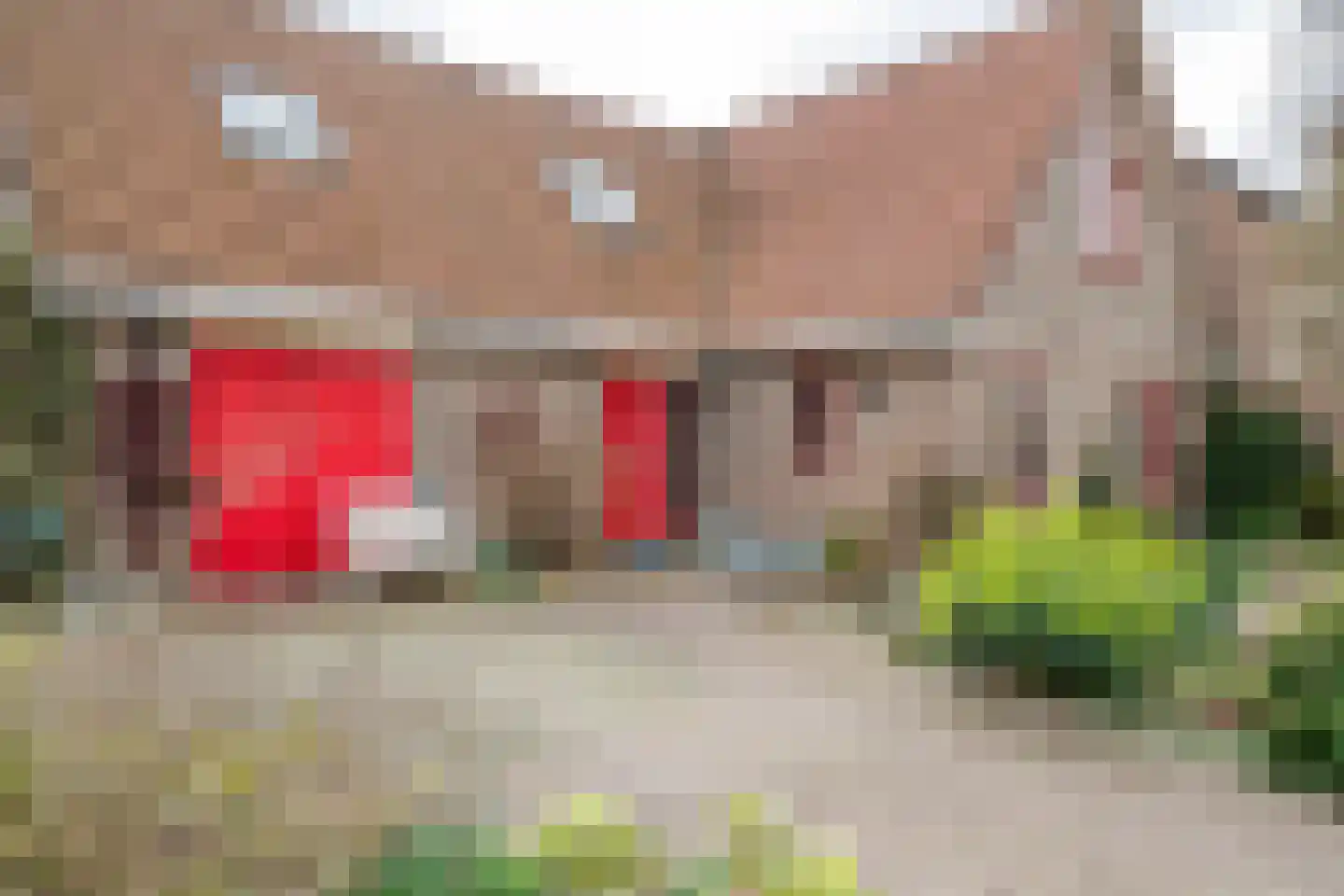 Graaf Florisstraat 32 Everdingen thumbnail 7