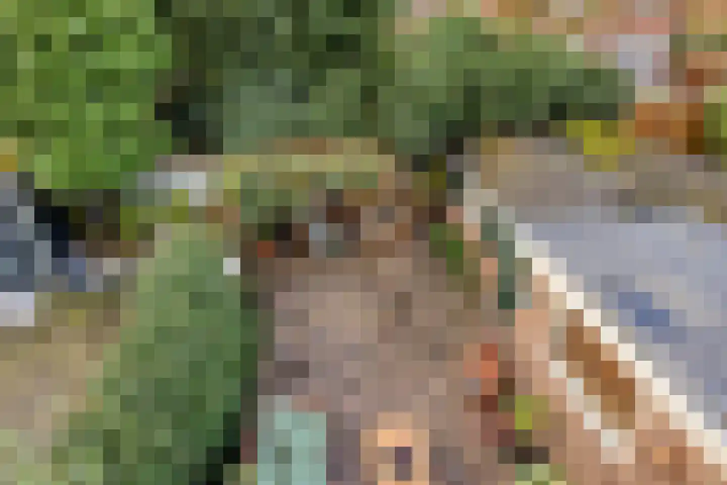 Graaf Florisstraat 35 Schiedam thumbnail 38