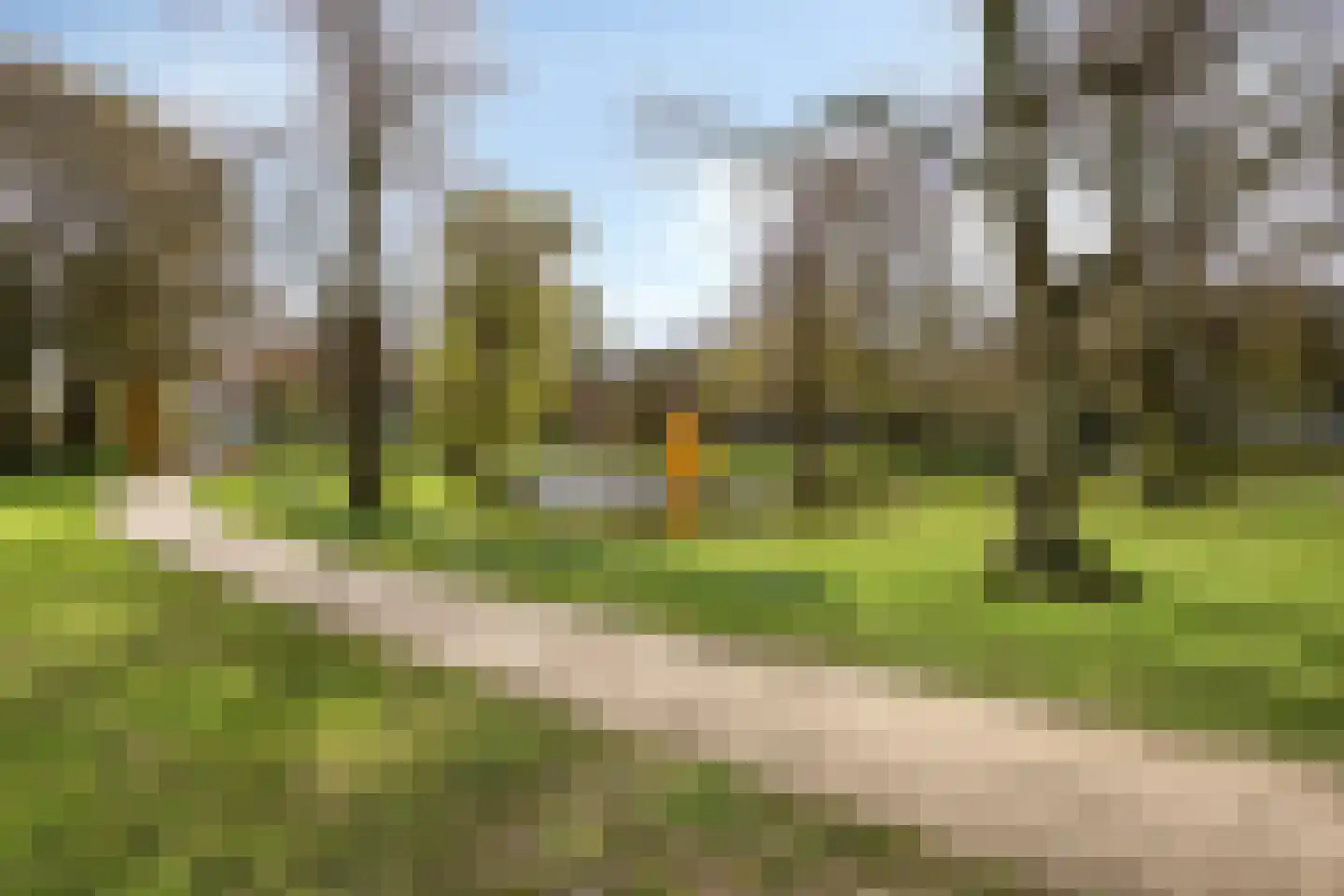 Graaf Florisstraat 35 Schiedam thumbnail 43