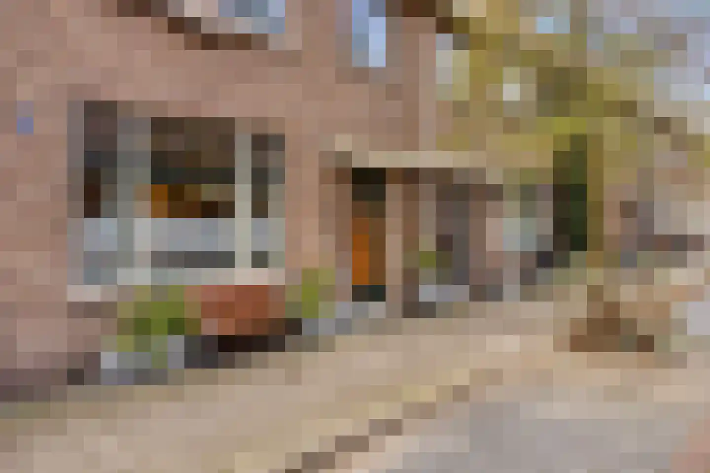 Graaf Florisstraat 35 Schiedam thumbnail 5