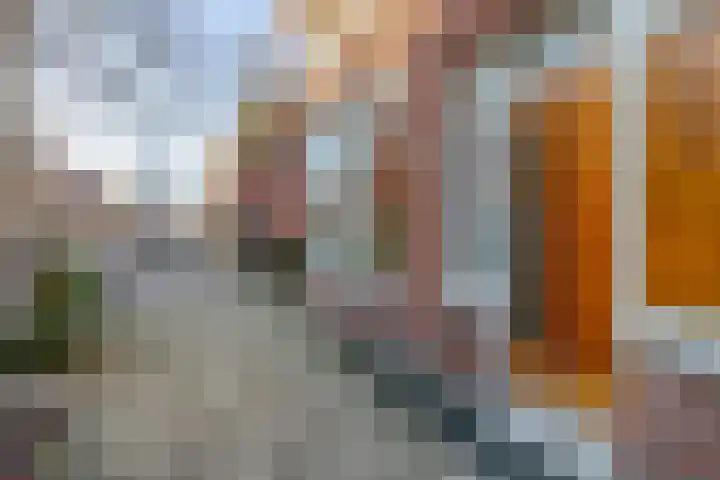Graaf Florisstraat 46 Schiedam thumbnail 6
