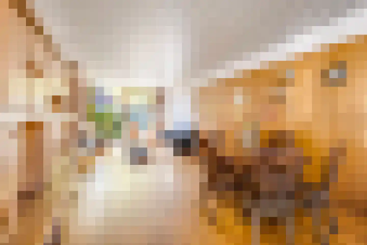Graaf Florisstraat 47 Schiedam thumbnail 13
