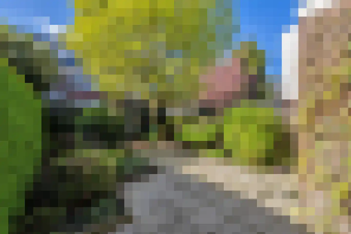 Graaf Florisstraat 47 Schiedam thumbnail 4