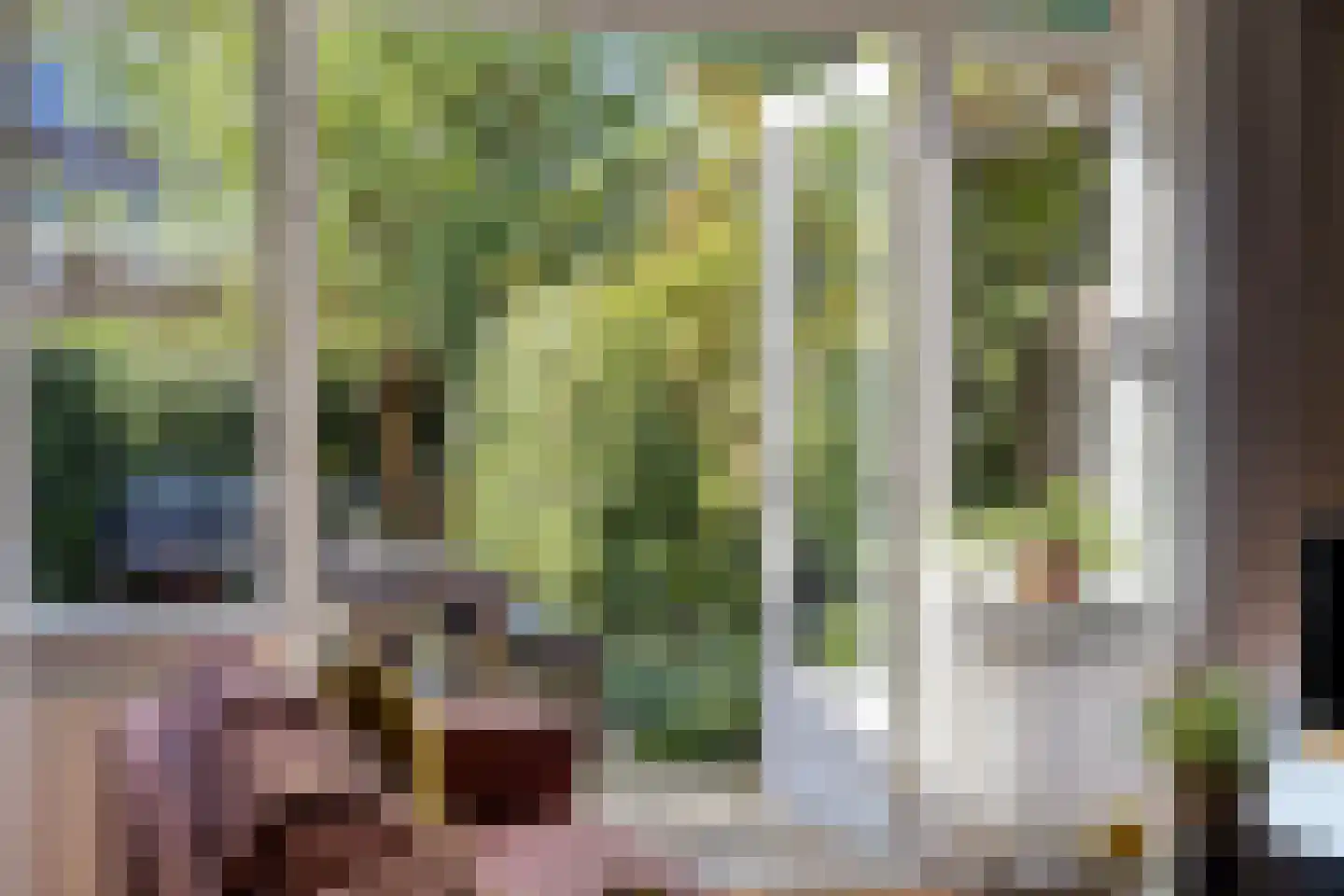 Graaf Florisstraat 49 Schiedam thumbnail 14