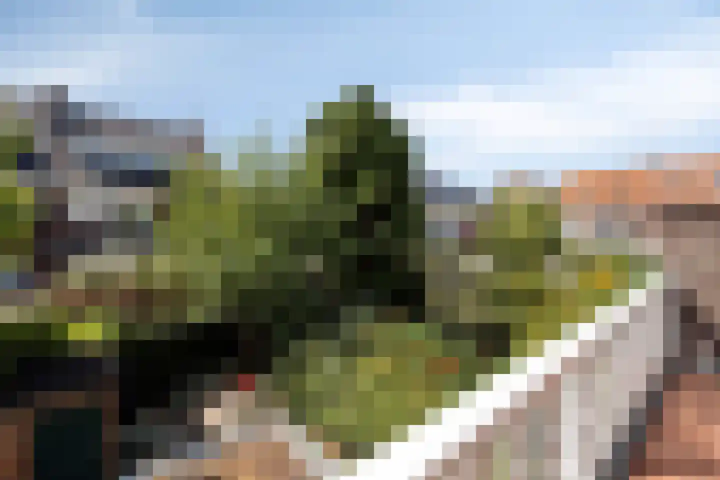 Graaf Florisstraat 49 Schiedam thumbnail 32