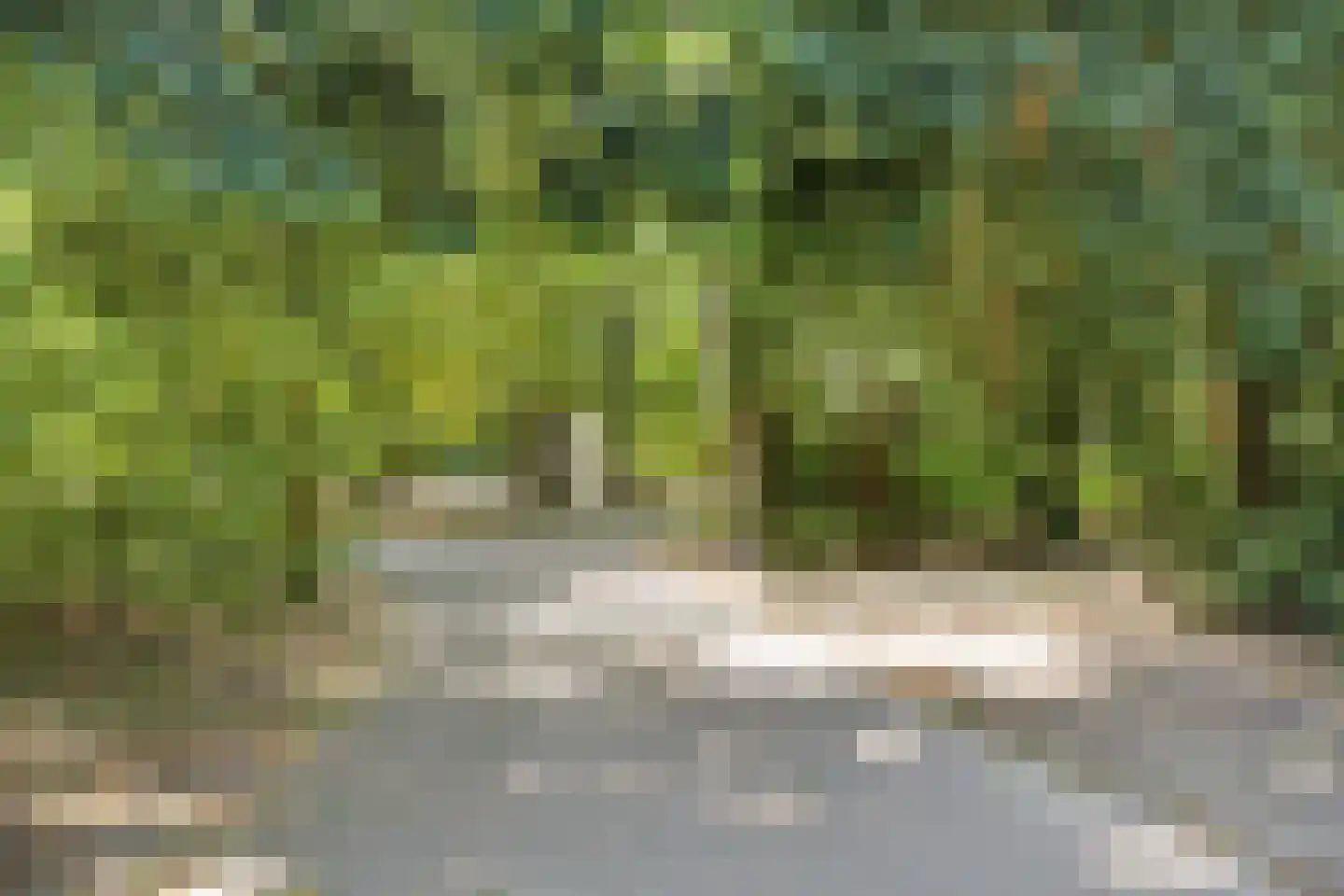 Graaf Florisstraat 49 Schiedam thumbnail 37