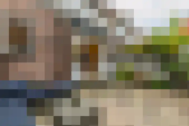 Graaf Florisstraat 50 Schiedam thumbnail 24