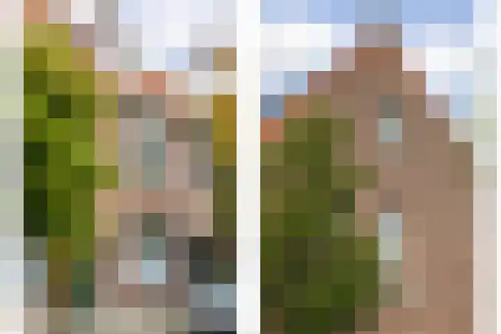 Graaf Florisstraat 50 Schiedam thumbnail 5