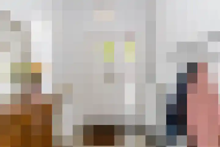 Graaf Florisstraat 50 Schiedam thumbnail 7