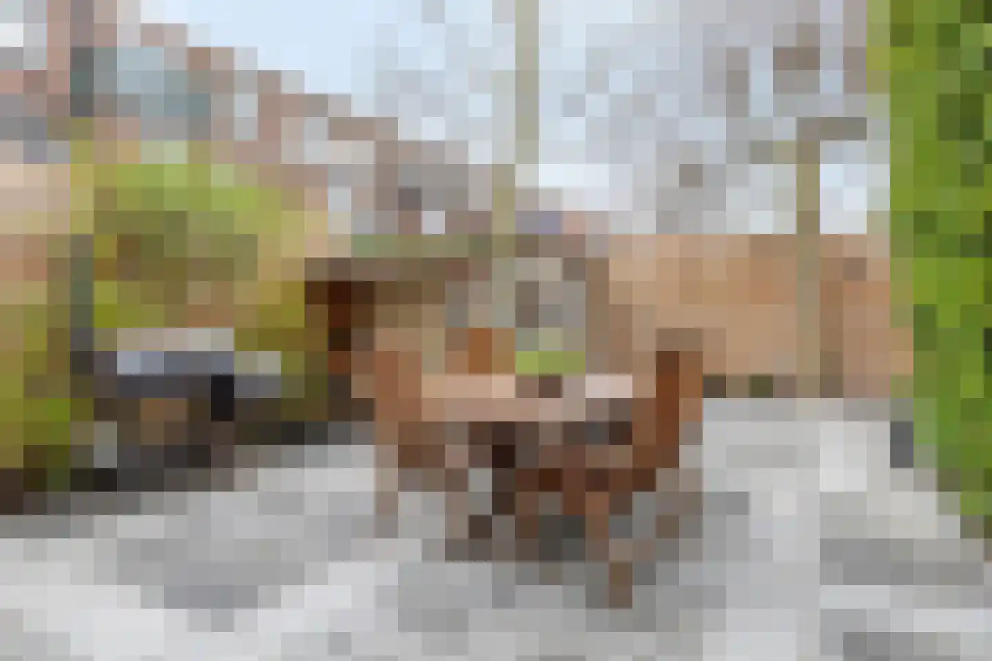 Graaf Florisstraat 54 Schiedam thumbnail 28