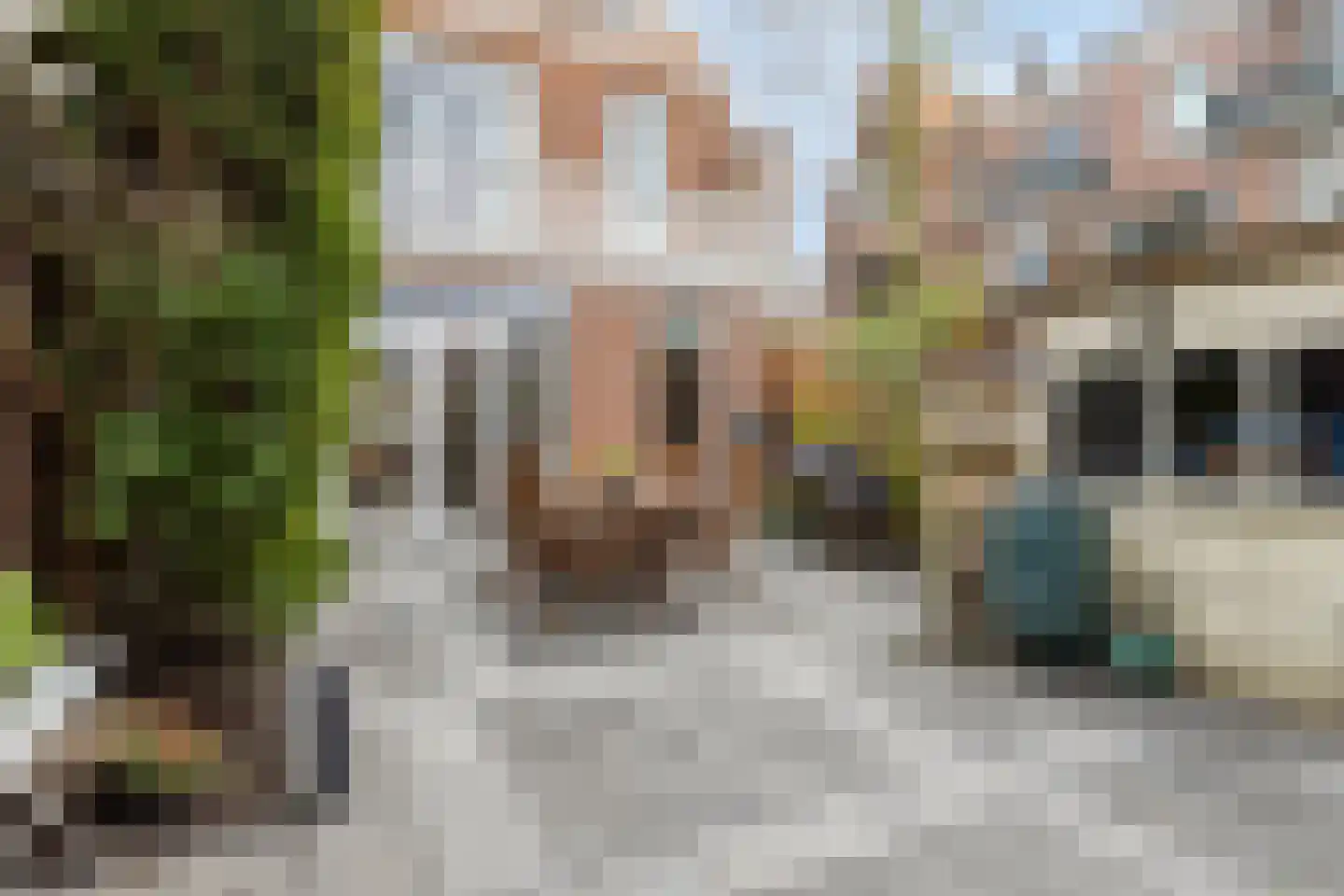 Graaf Florisstraat 54 Schiedam thumbnail 30