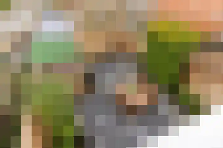 Graaf Florisstraat 54 Schiedam thumbnail 44