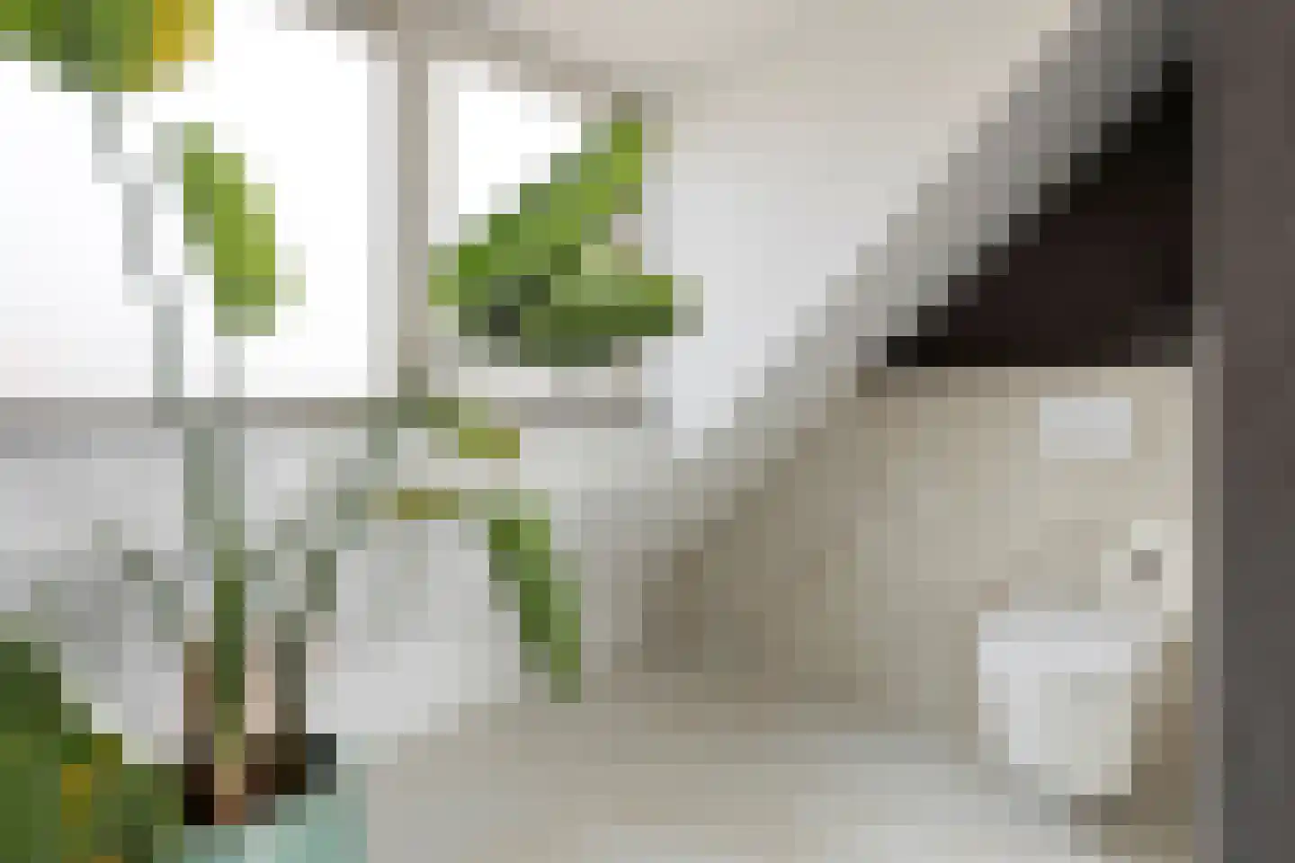 Graaf Florisstraat 54 Schiedam thumbnail 51
