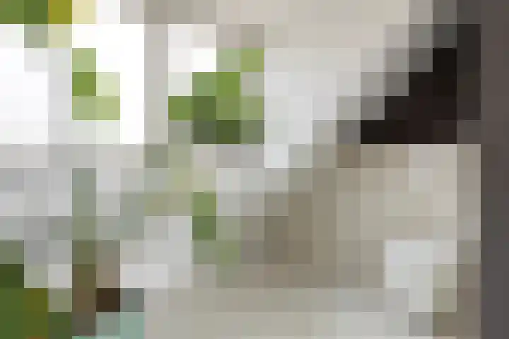Graaf Florisstraat 54 Schiedam thumbnail 51