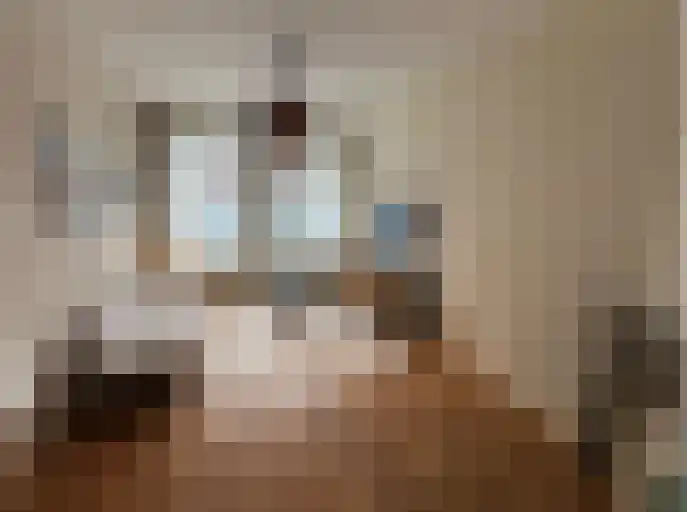 Graaf Florisstraat 69 Rotterdam thumbnail 4