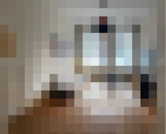 Graaf Florisstraat 69 Rotterdam thumbnail 5