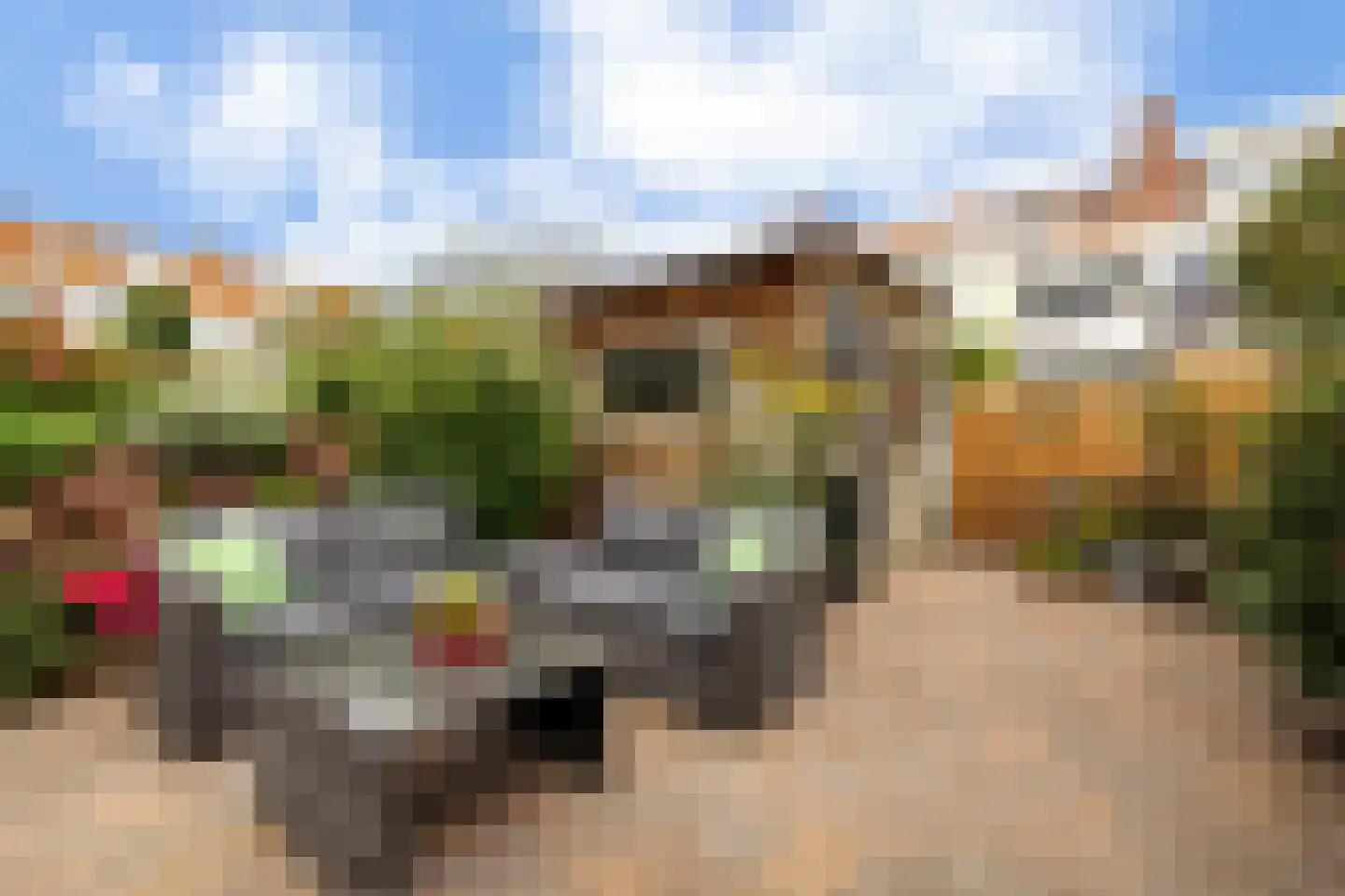 Graaf Florisstraat 70 Schiedam thumbnail 26