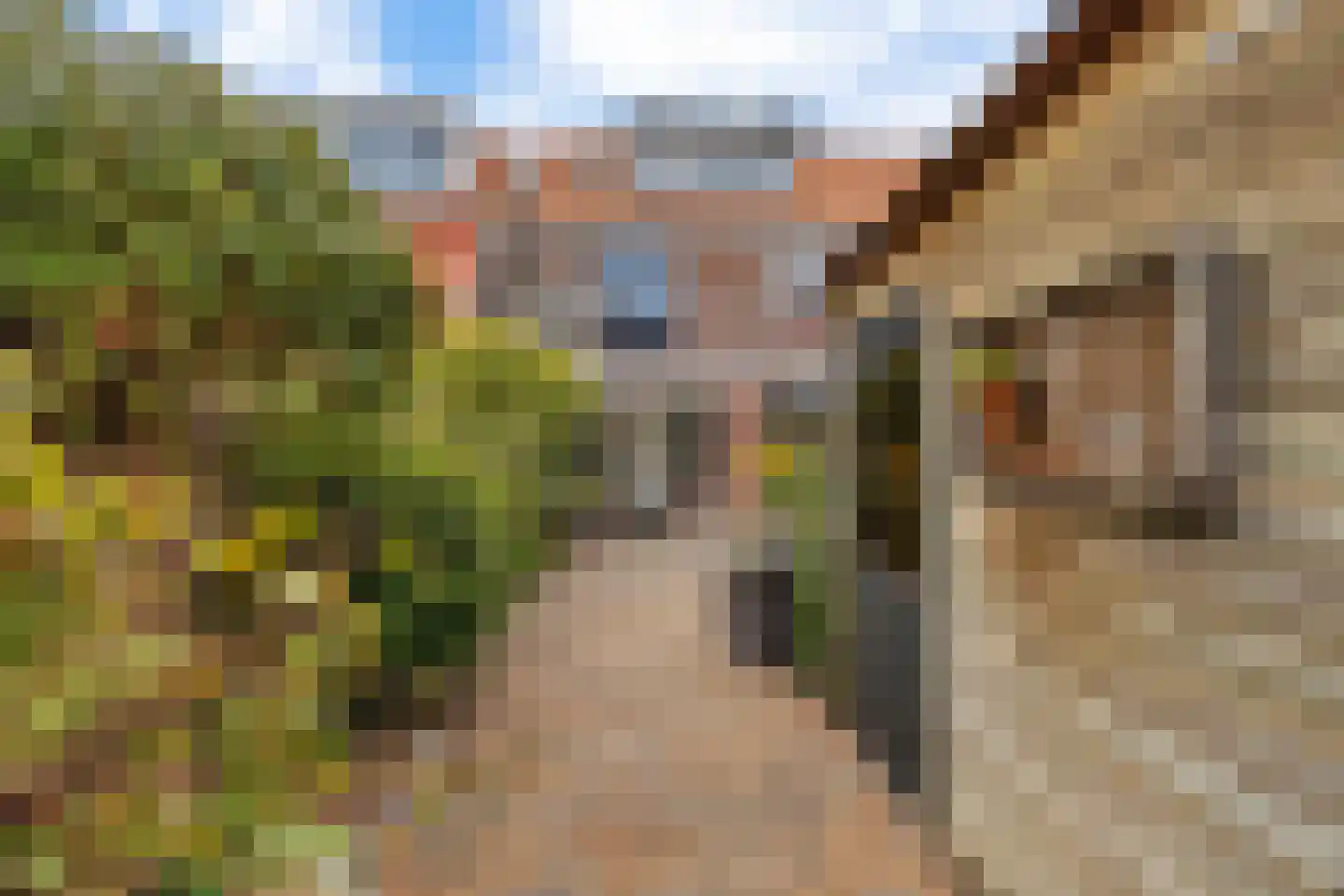 Graaf Florisstraat 70 Schiedam thumbnail 29