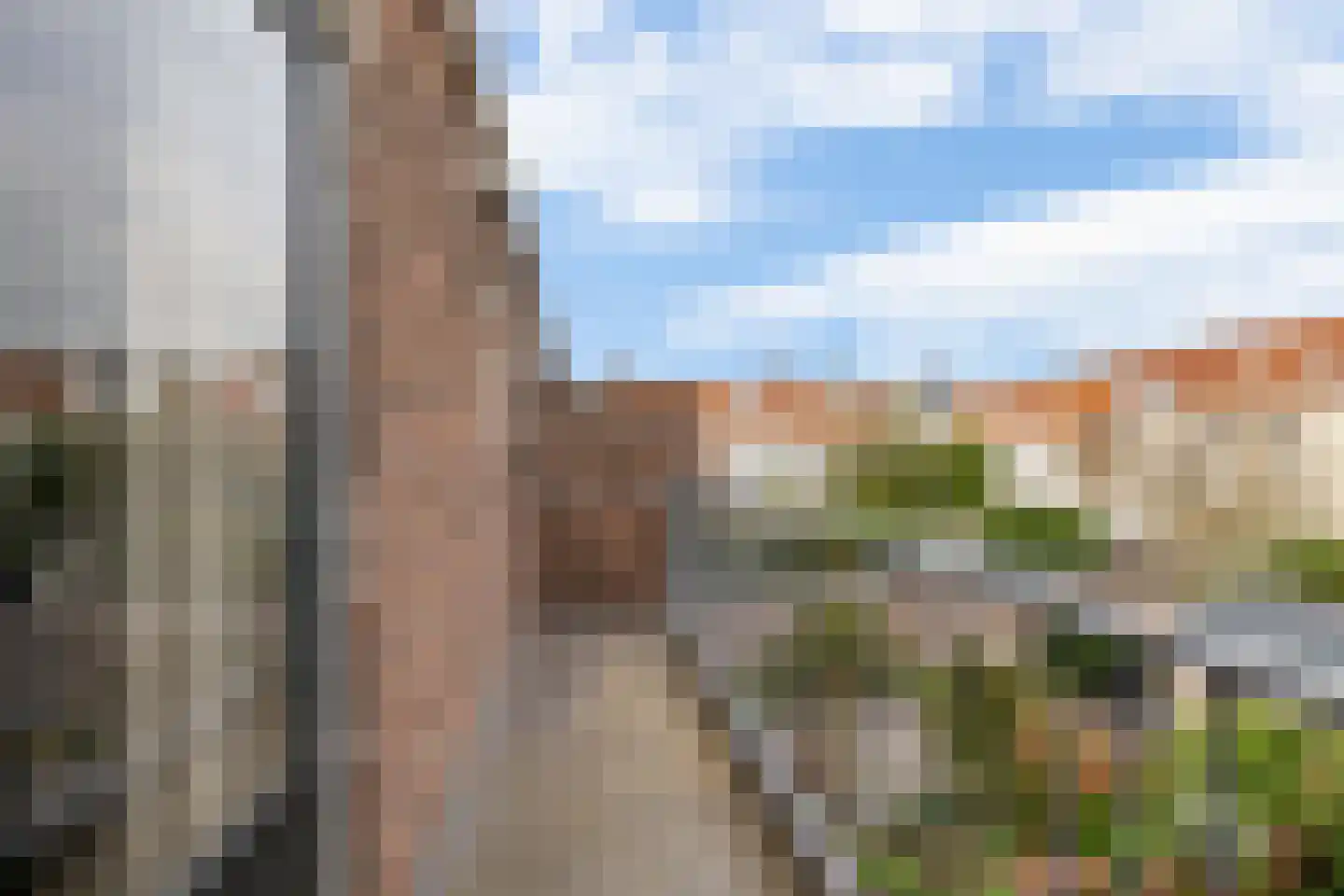 Graaf Florisstraat 70 Schiedam thumbnail 37
