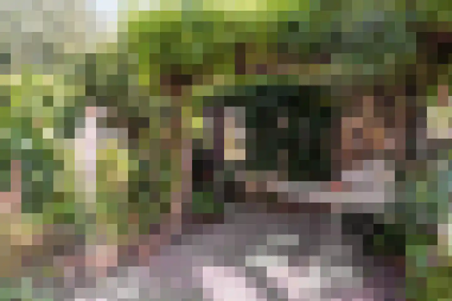 Graaf Florisstraat 73 Schiedam thumbnail 37