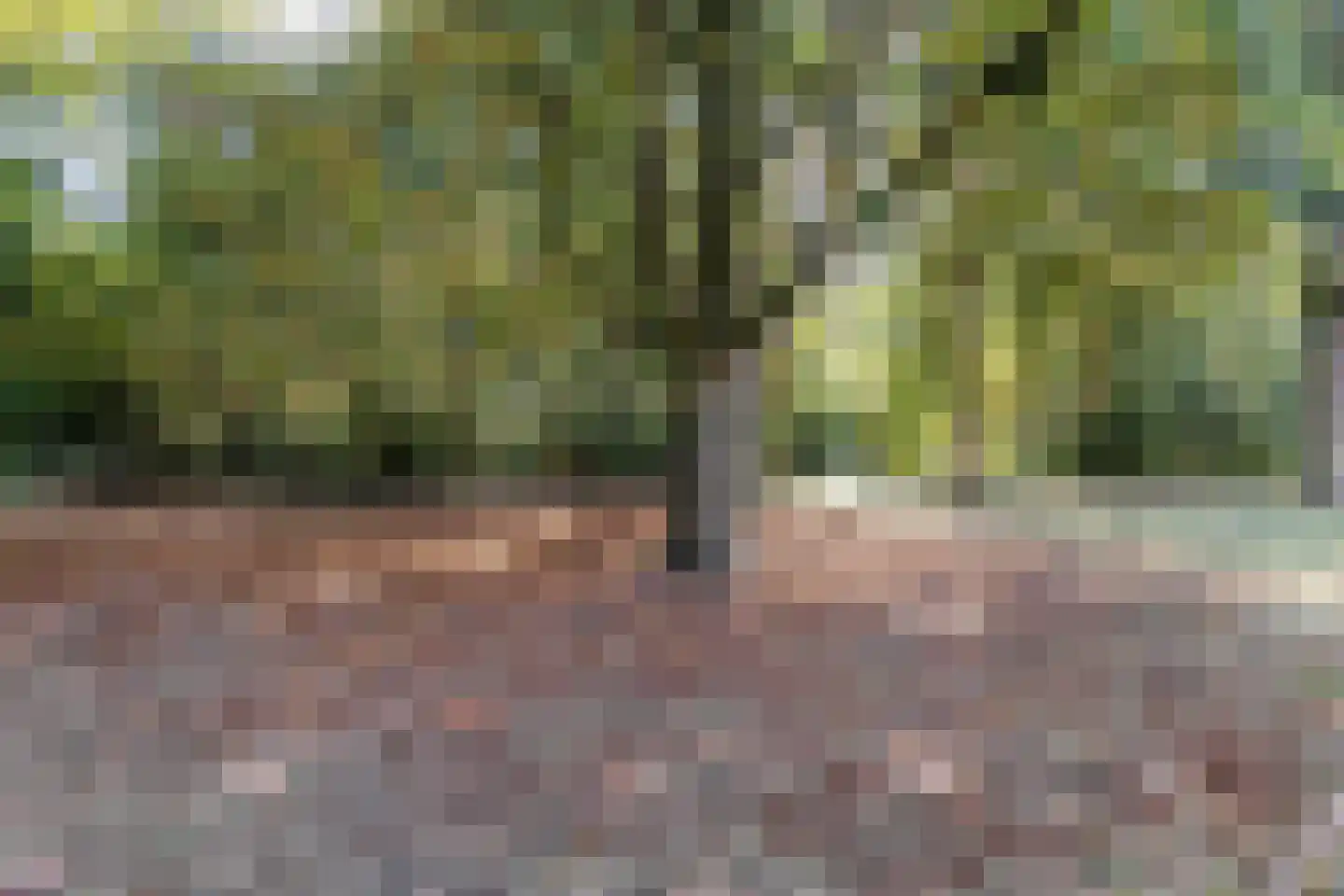 Graaf Florisstraat 73 Schiedam thumbnail 40