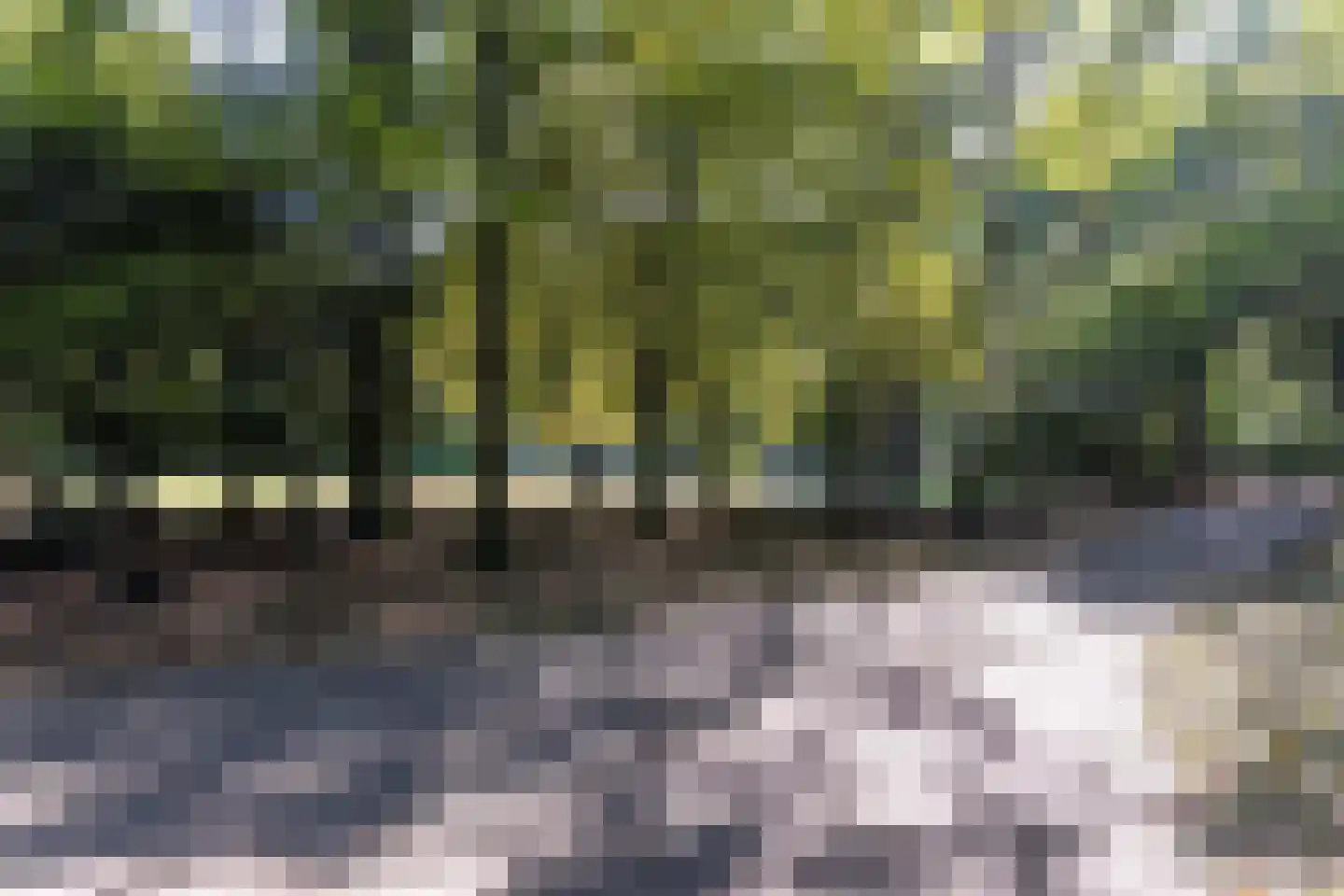 Graaf Florisstraat 73 Schiedam thumbnail 42