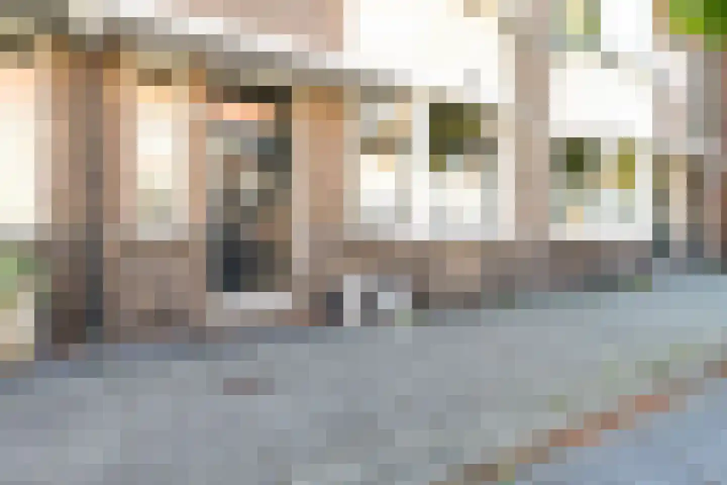 Graaf Florisstraat 73 Schiedam thumbnail 5