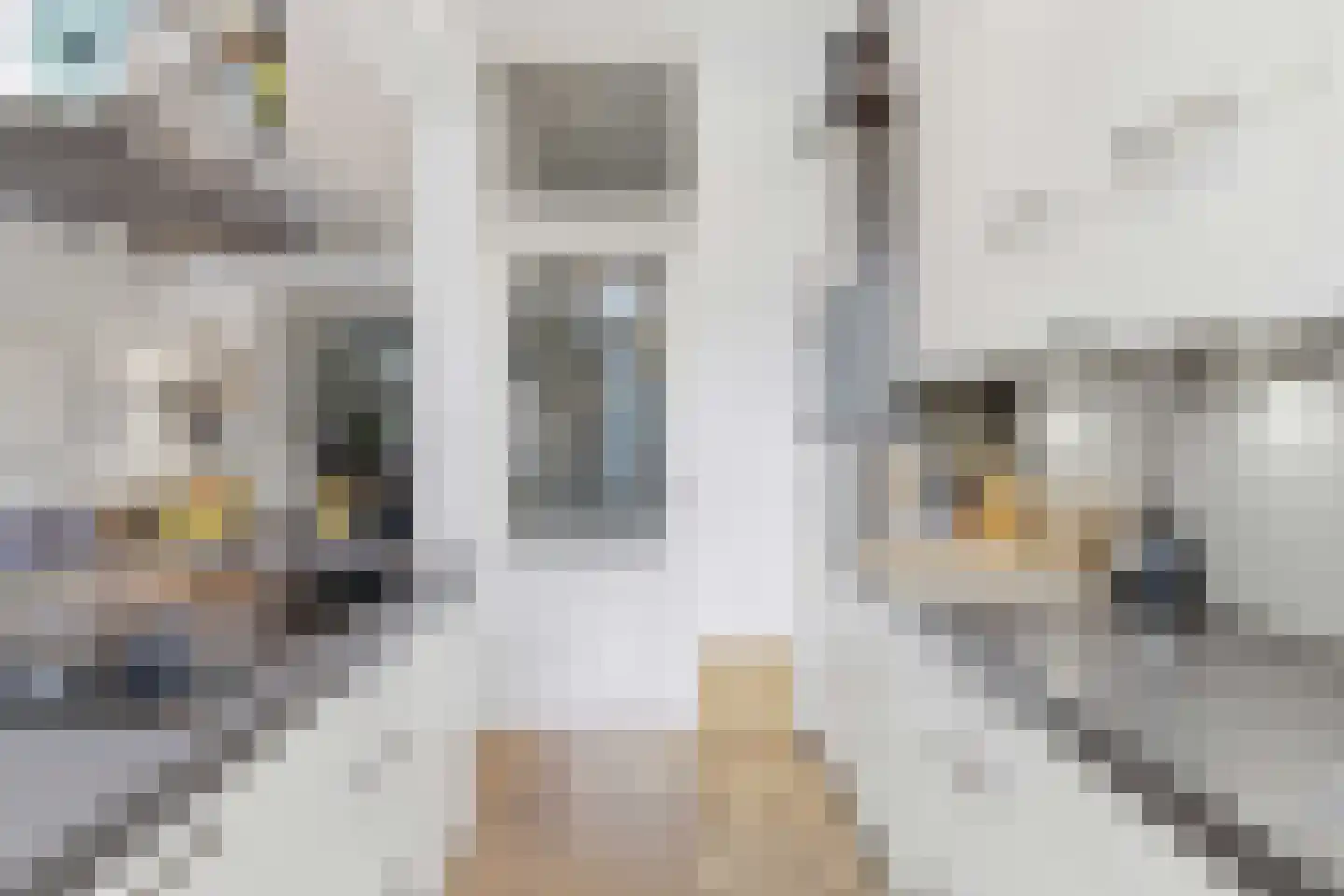 Graaf Florisstraat 76 A Rotterdam thumbnail 13
