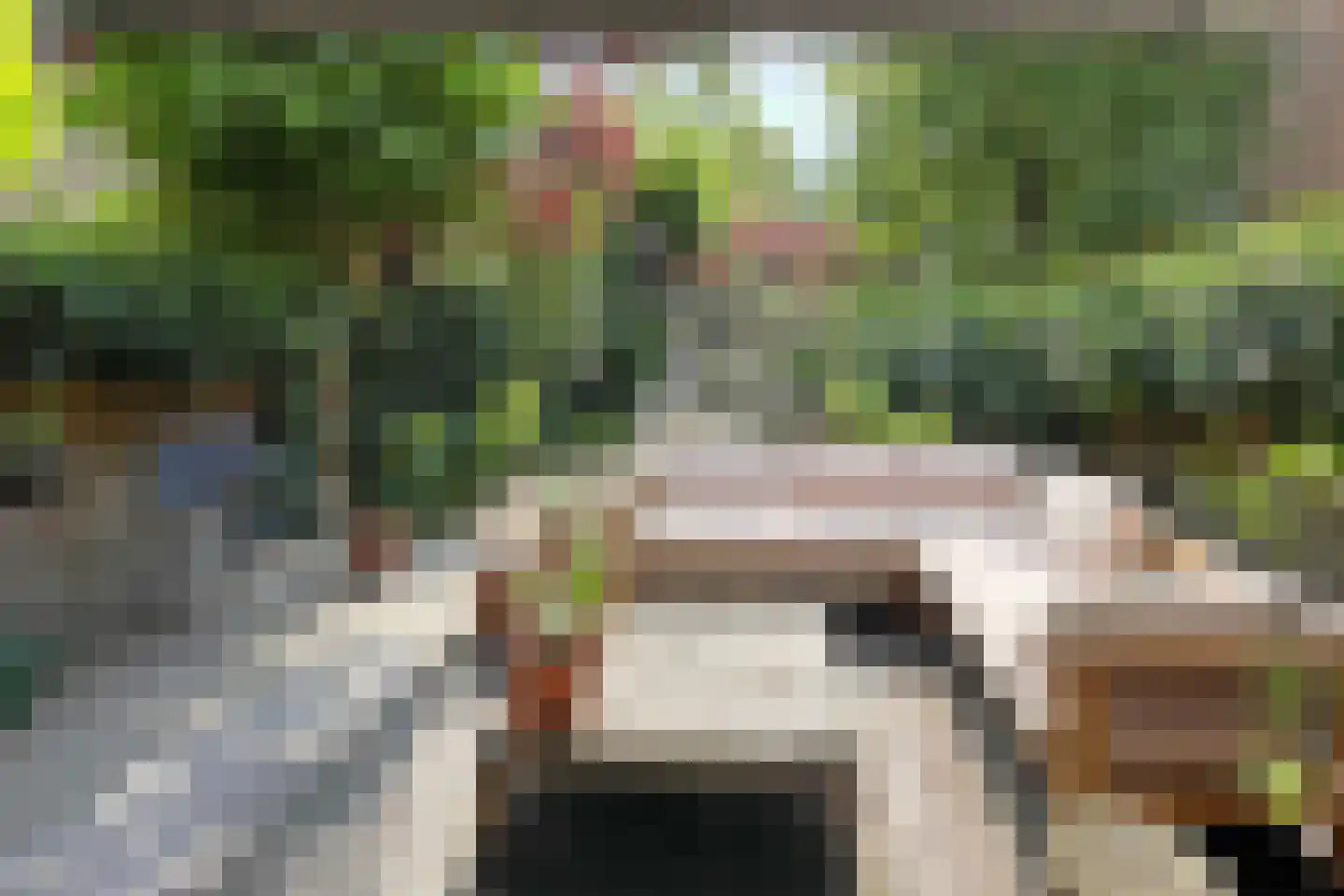 Graaf Florisstraat 76 A Rotterdam thumbnail 4