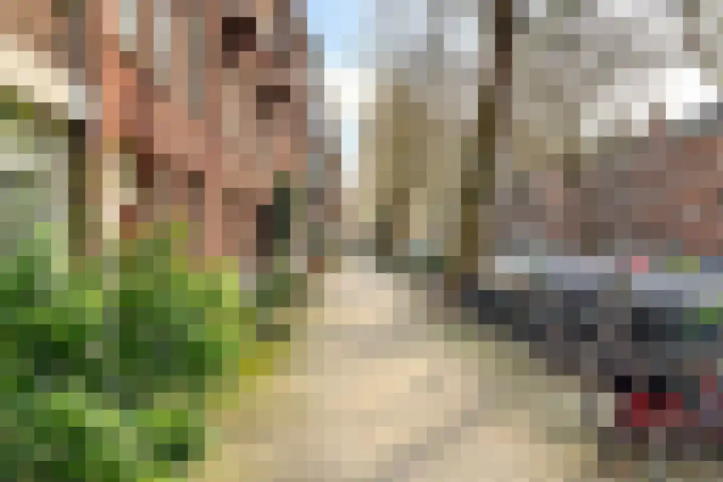 Graaf Florisstraat 76 A Rotterdam thumbnail 40