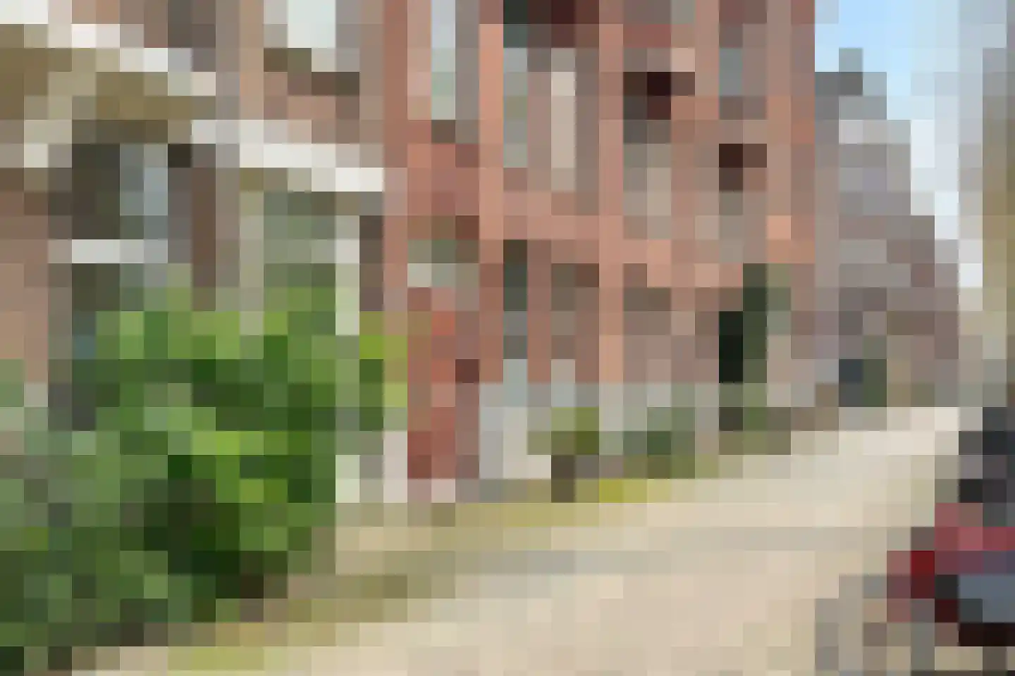 Graaf Florisstraat 76 A Rotterdam thumbnail 6