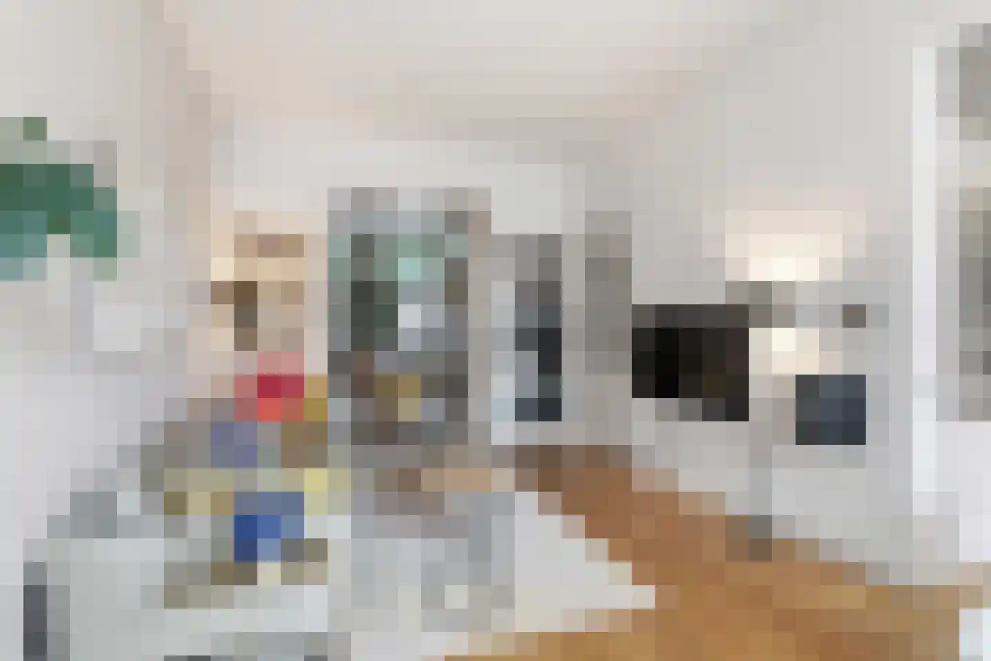 Graaf Florisstraat 76 A Rotterdam thumbnail 8