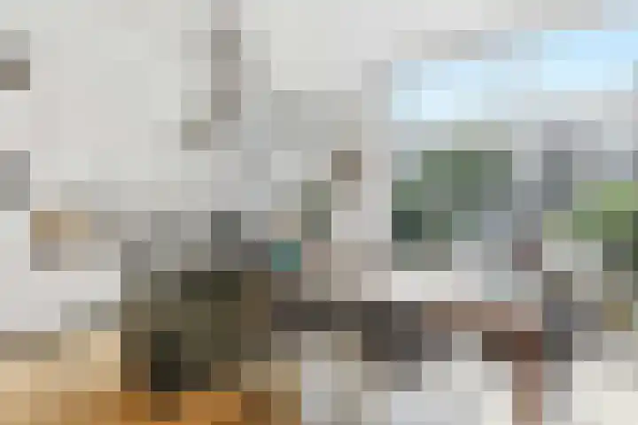Graaf Florisstraat 76 B Rotterdam thumbnail 12