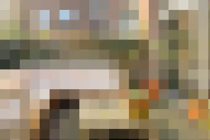 Graaf Florisstraat 76 B Rotterdam thumbnail 15