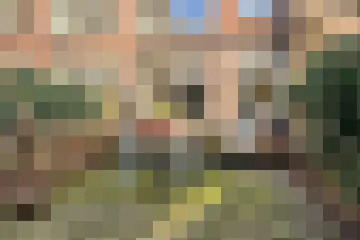 Graaf Florisstraat 76 B Rotterdam thumbnail 17