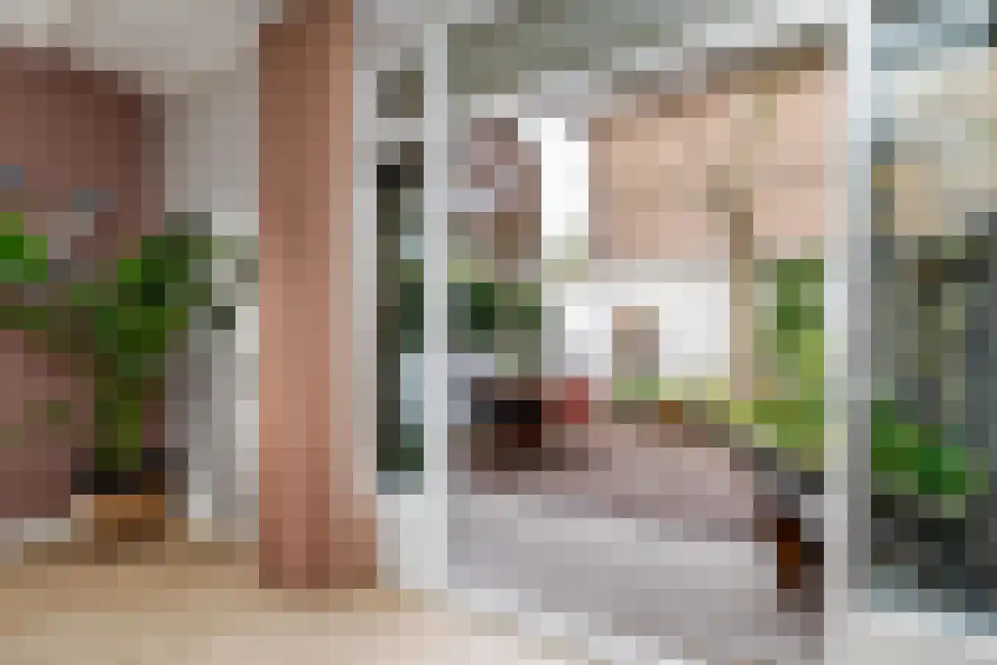 Graaf Florisstraat 78 Schiedam thumbnail 19