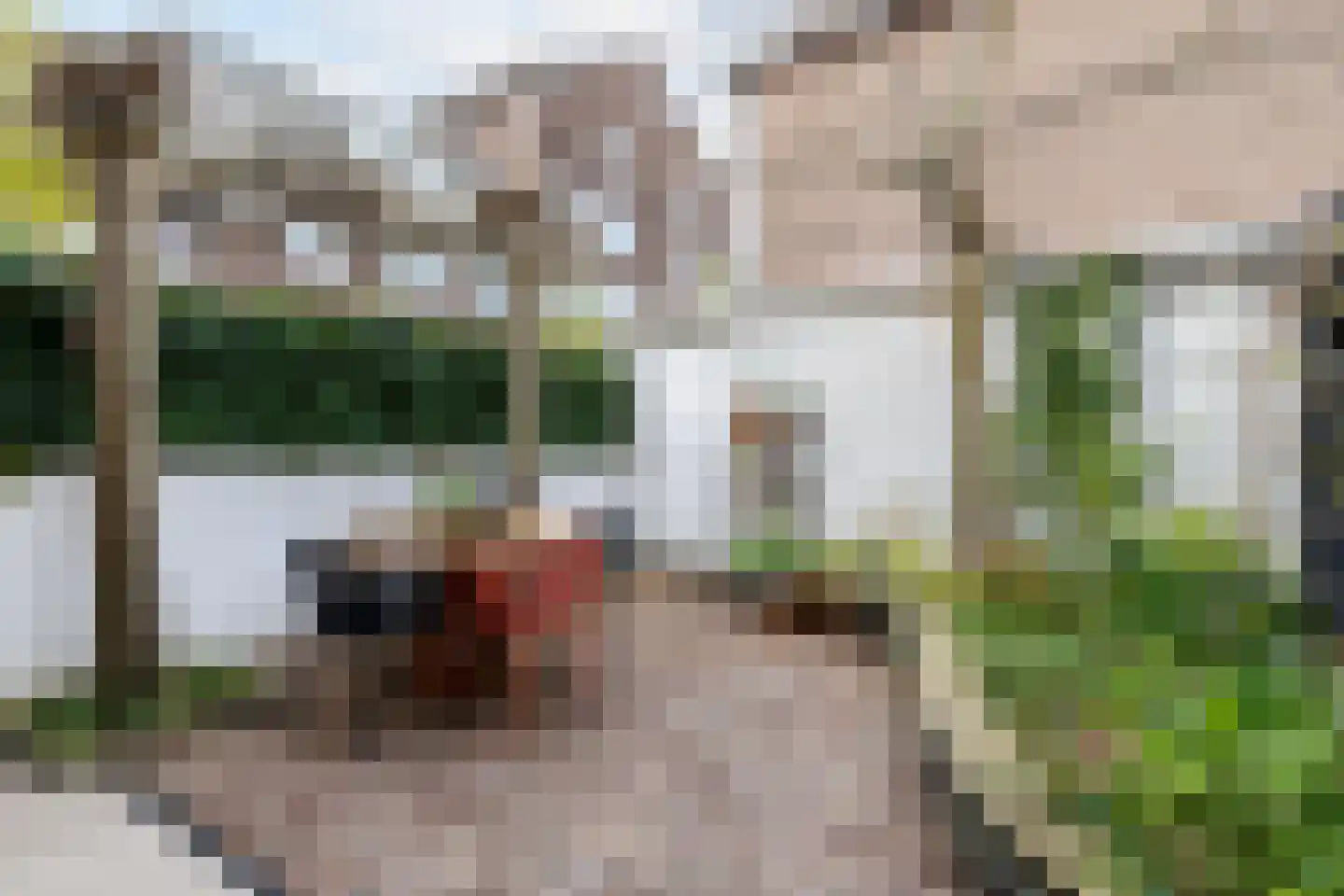 Graaf Florisstraat 78 Schiedam thumbnail 22