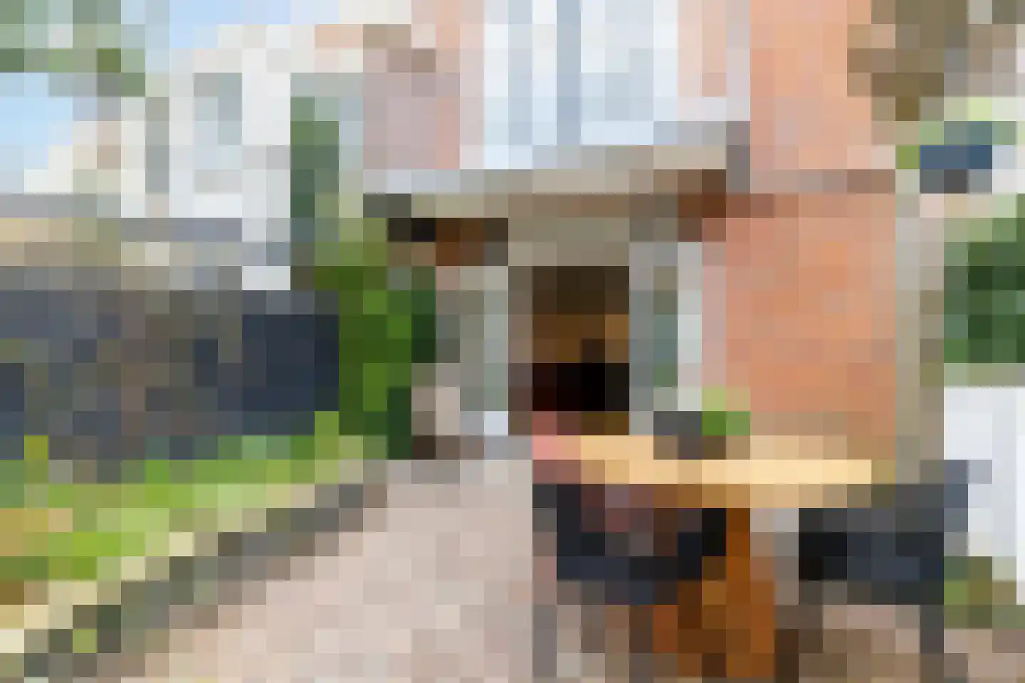 Graaf Florisstraat 78 Schiedam thumbnail 5