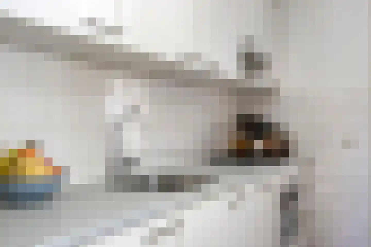 Graaf Florisstraat 8 2 Amsterdam thumbnail 12
