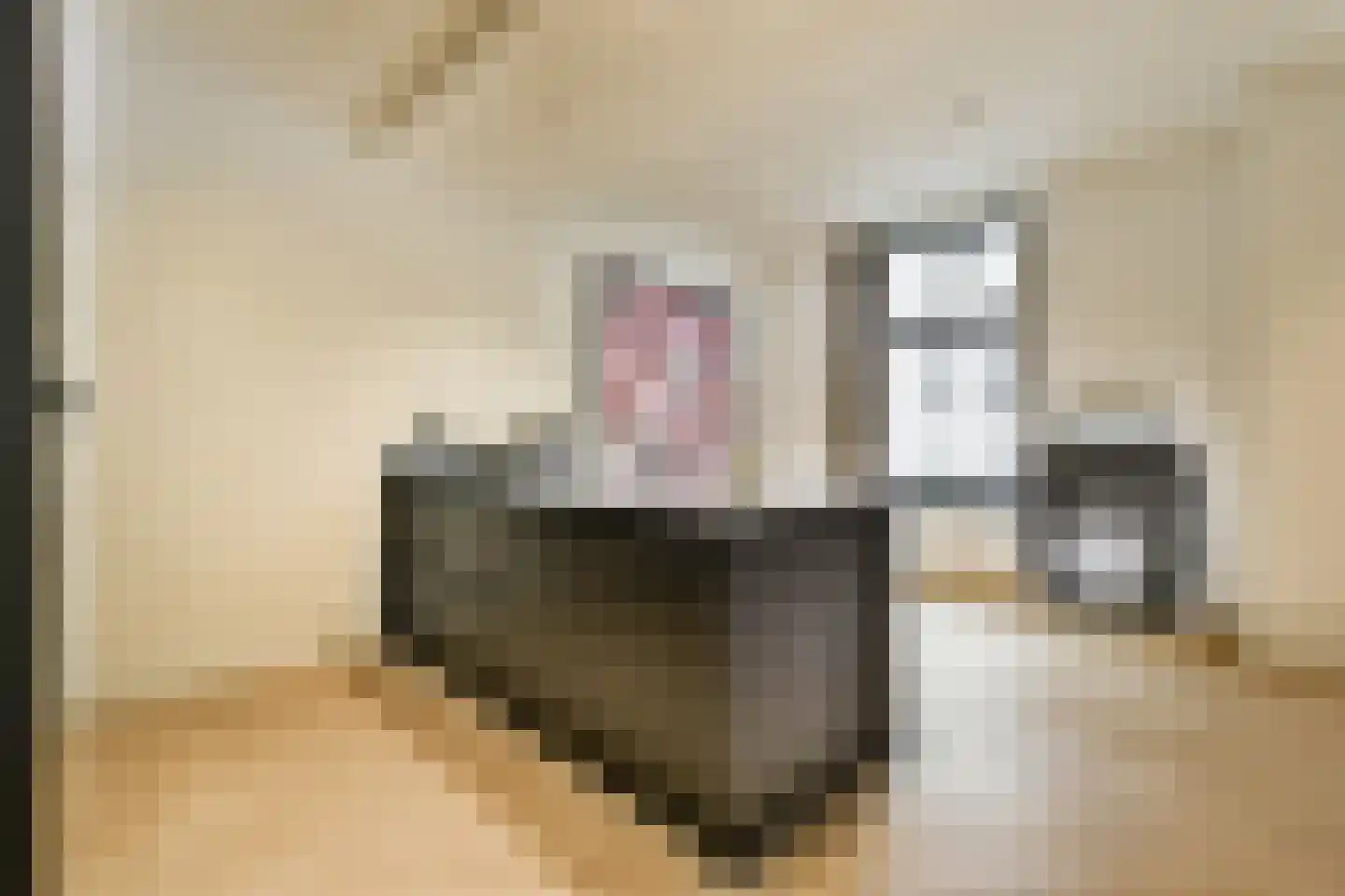 Graaf Florisstraat 81 B Rotterdam thumbnail 10