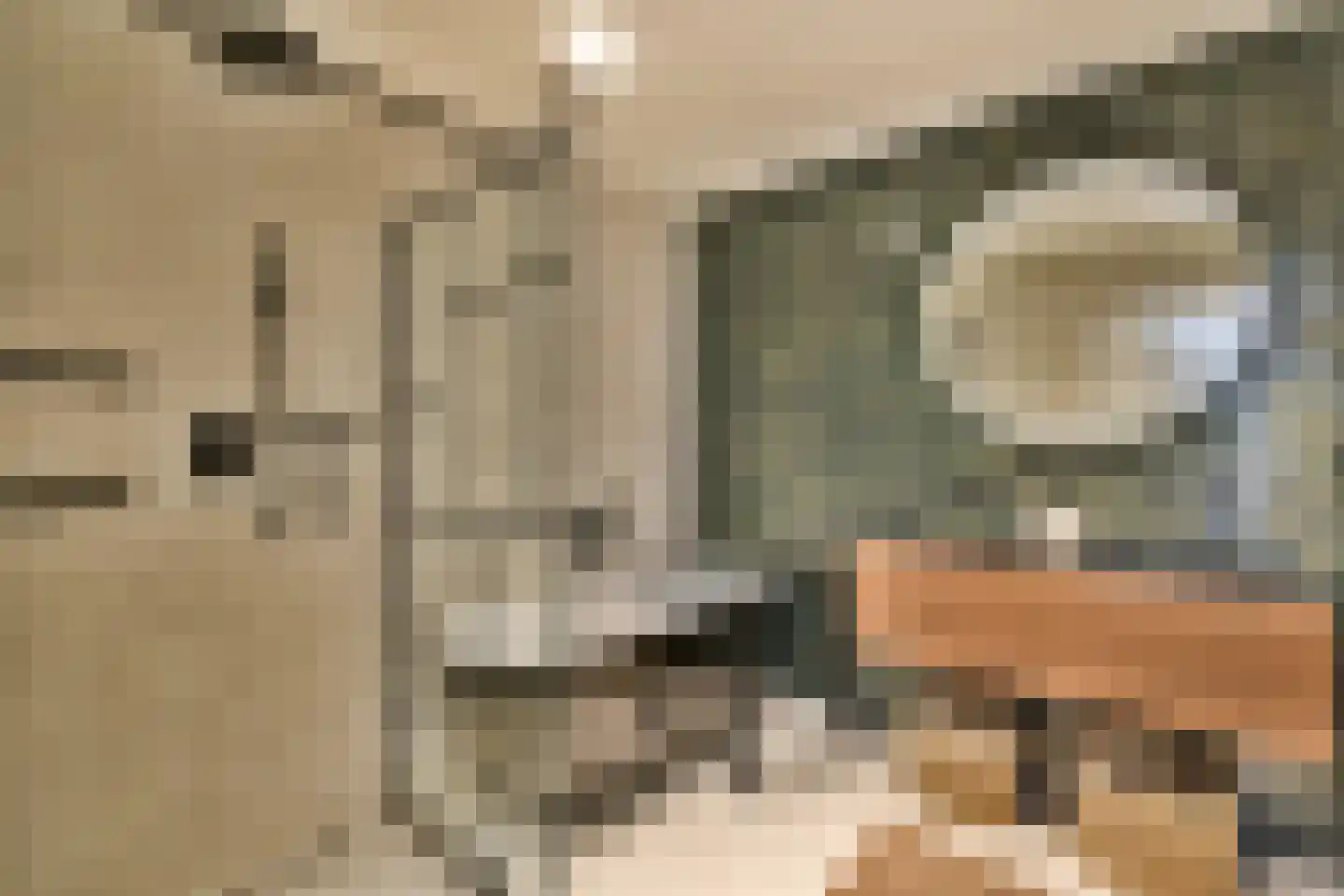 Graaf Florisstraat 81 B Rotterdam thumbnail 18