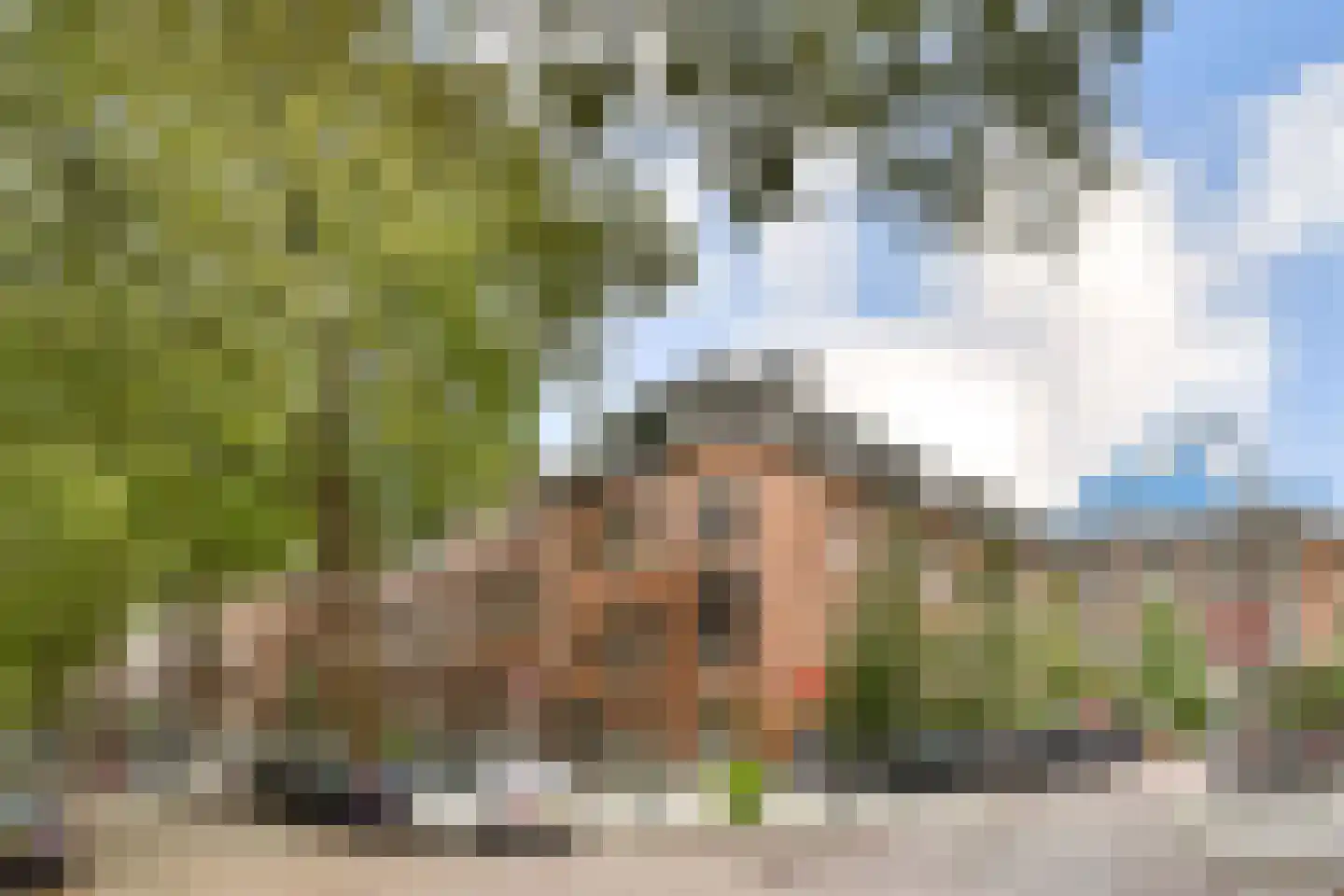 Graaf Florisstraat 81 B Rotterdam thumbnail 28