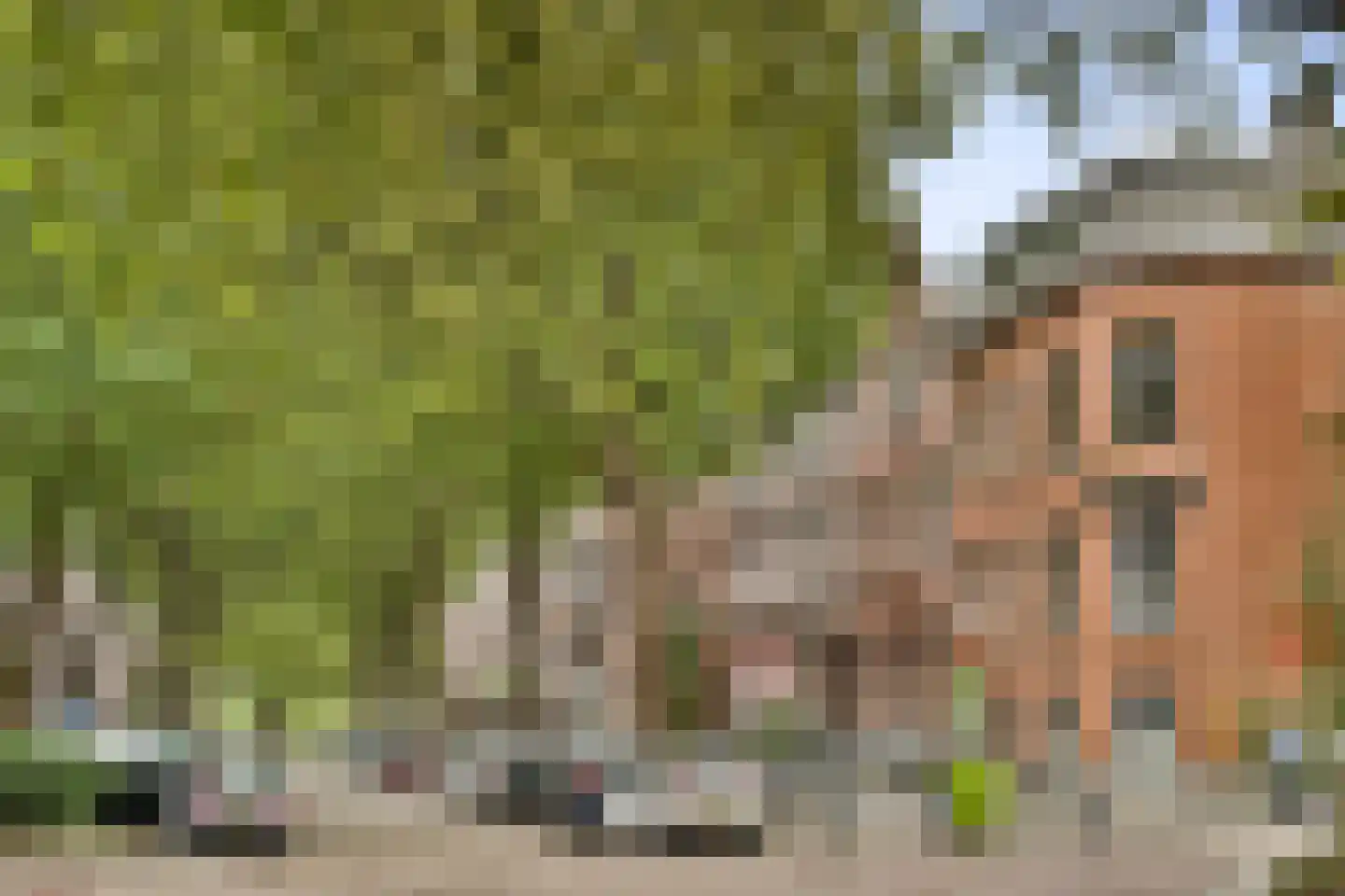 Graaf Florisstraat 81 B Rotterdam thumbnail 30