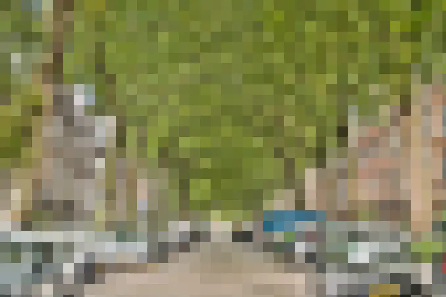 Graaf Florisstraat 81 B Rotterdam thumbnail 32