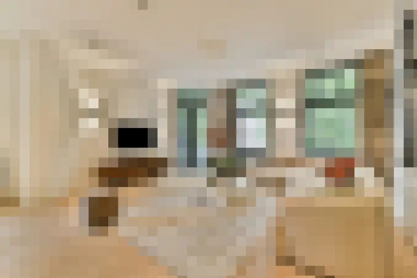 Graaf Florisstraat 81 B Rotterdam thumbnail 7